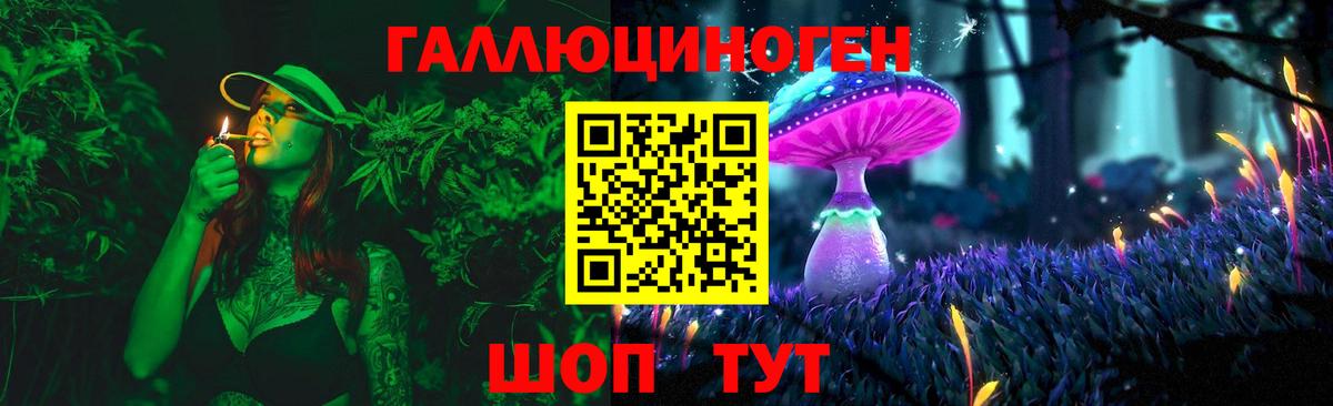 Обь  Галлюциногенные грибы прущие грибы  Вход с VPN 